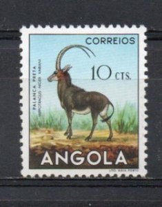 Angola 363 MH