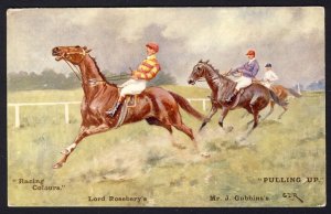 POSTAL HISTORY Thoroughbred horse - Racing Colours PULLING UP - GDR pos...