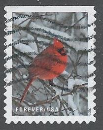 US Cat # 5533, Cardinal, Used*-