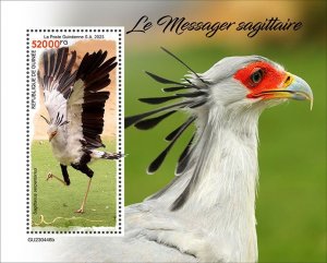 GUINEA - 2023 - Secretary Birds - Perf Souv Sheet - Mint Never Hinged