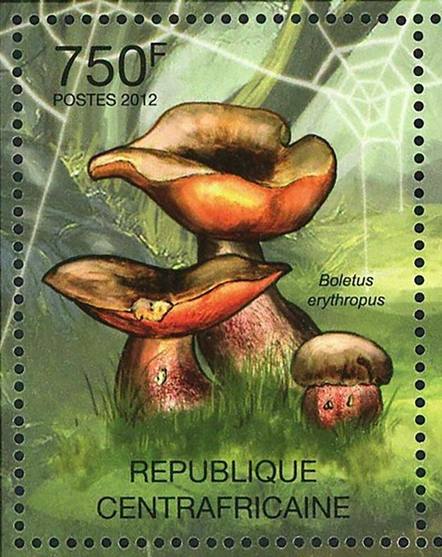 Mushrooms Stamp Boletus Erythropus Suillus Grevillei Calopus S/S MNH #3612-3615 