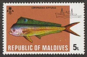 439,MNH Maldive Islands