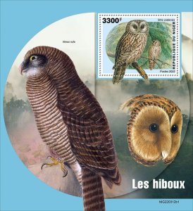 NIGER - 2022 - Owls - Perf Souv Sheet #1 - Mint Never Hinged