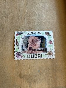 Dubai #106