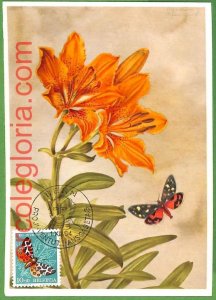 15639 - Switzerland - MAXIMUM CARD - 1954 - flower, butter tiles-