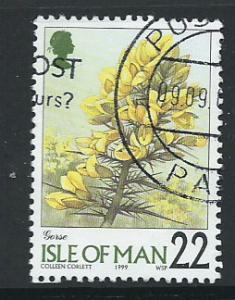 Isle of Man  Very Fine Used  SG 780
