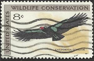 # 1430 USED CALIFORNIA CONDOR