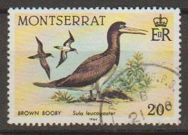 Montserrat SG 603 Fine Used - Birds