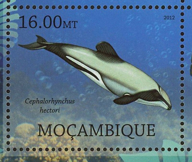 Dolphins Stamp Pontoporia Blainvillei Platanista Gangetica S/S MNH #5817-5822