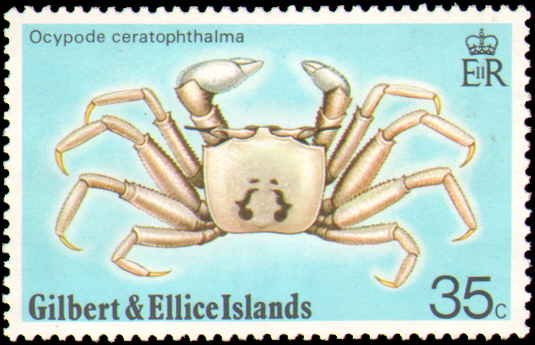 Gilbert & Ellice Islands #237-240, Complete Set(4), 1975, Marine LIfe, Never ...