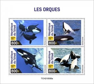 Chad - 2021 Orcas, Killer Whales - 4 Stamp Sheet - TCH210506a 