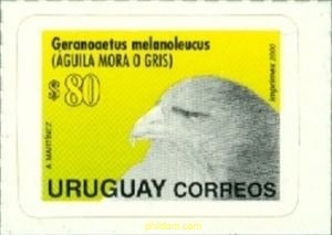 637792 MNH URUGUAY 2000 SERIE BASICA