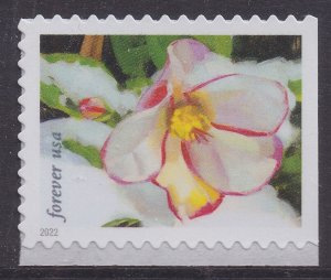 US 5730 Snowy Beauty Hellebore F single MNH 2022