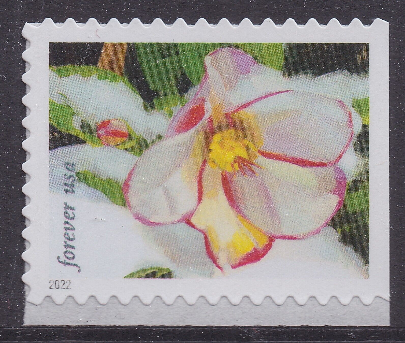  USPS Snowy Day Forever Postage Stamps (20 Stamps) : Office  Products