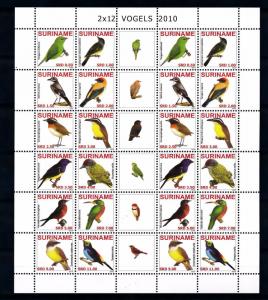 [SUV1717] Surinam Suriname 2010 Birds Vögel Oiseaux Miniature Sheet with tab MNH