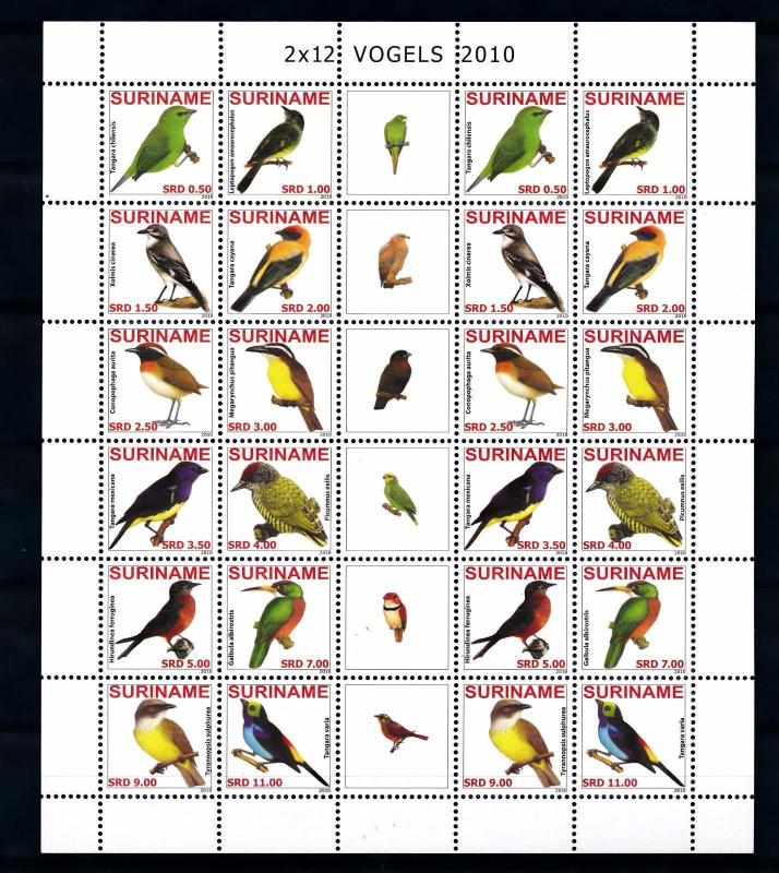 [SUV1717] Surinam Suriname 2010 Birds Vögel Oiseaux Miniature Sheet with tab MNH