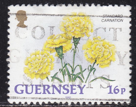 Guernsey 486 Standard Carnation 1992