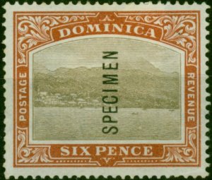 Dominica 1903 6d Grey & Chestnut Specimen SG32s Fine MM