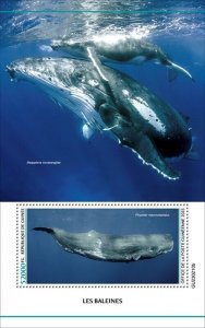 Guinea - 2023 Whales, Sperm Whale - Stamp Souvenir Sheet - GU230210b