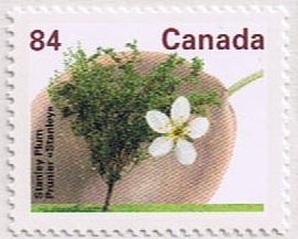 Canada Mint VF-NH #1371 Stanley Prune
