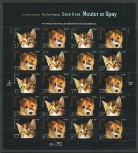 PCBstamps   US #3670/3671 Sheet $7.40(10x2x37c)Neuter/Spay, MNH, (4)