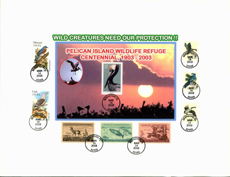 #3774 Pelican Island Wildlife Refuge - GORGEOUS 8 1/2 * 1...