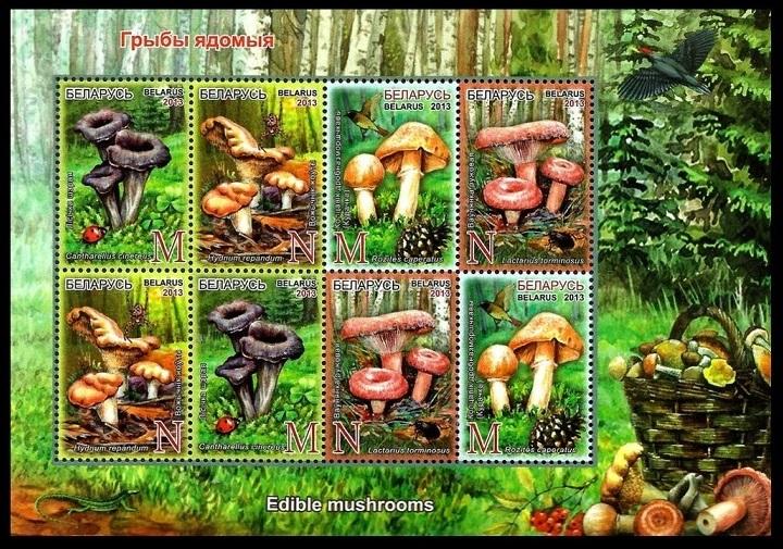 2013 Belarus 971-74KL Mushrooms 15,00 €