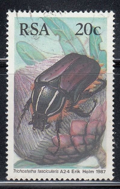 South Africa 1987 Sc#691 Mi#702 Yt#619 Beetle (Trichosteha fascicularis) Used