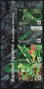 Tonga WWF Banded Iguana Strip of 4v Latin Name SG#1804-1808 SALE BELOW FACE