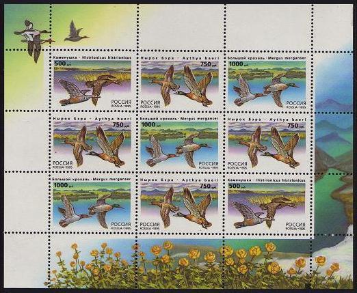 Russia 6284-6286,6286a sheet,MNH.Michel 462-464, klb. Ducks-1995.Histrionicus