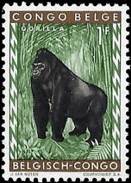 BELGIAN CONGO   #310 MNH (1)