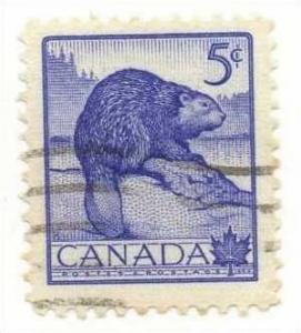 Beaver - Scott #336