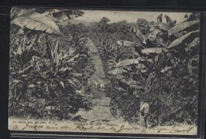 COSTA RICA  (PP2404B) 1905  4C PPC  LIMON TO ENGLAND