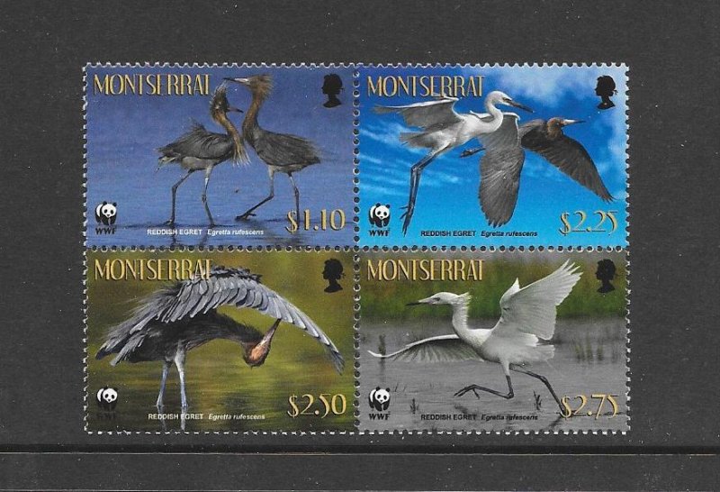 BIRDS - MONTSERRAT #1253 (BLOCK)  EGRETS  WWF  MNH