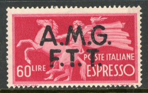 Italy 1948 Trieste AMG FTT 60 Lire Express Issue Scott E4 Mint F269