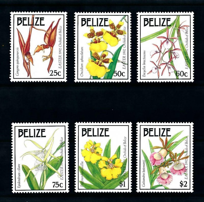 [79871] Belize 1992 Flora Flowers Blumen Orchids Easter  MNH