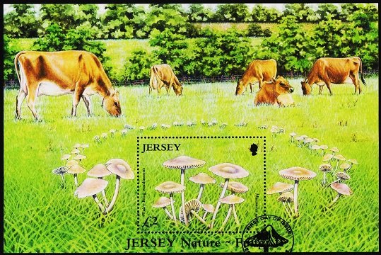 Jersey. 2005 Miniature Sheet. Fine Used