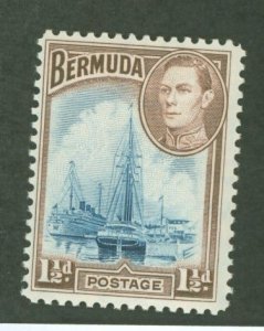 Bermuda #119