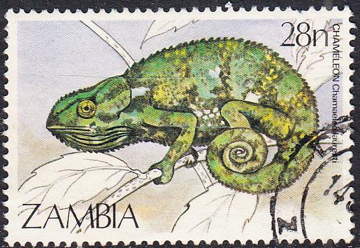 Zambia#309  Used