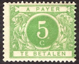 1895, Belgium 5c, Postage due, MH, Sc J3