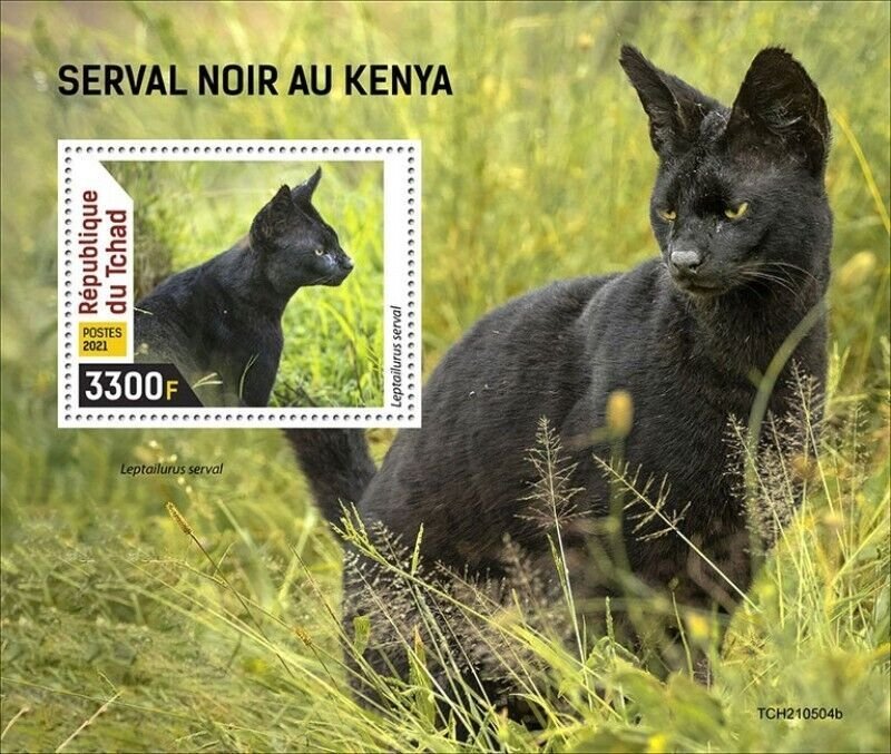 Chad - 2021 Kenyan Black Serval Cat - Stamp Souvenir Sheet - TCH210504b