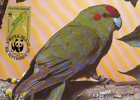 Norfolk Island 1987 Maxicard Sc #421a 5c Green parrot WWF