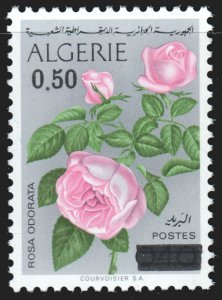 Algeria #531  MNH - Overprinted Flower Stamp (1975)