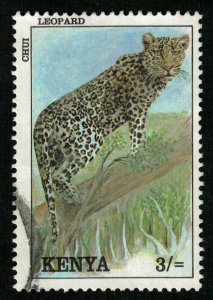 Animal, 3/=, Cat (T-5235)