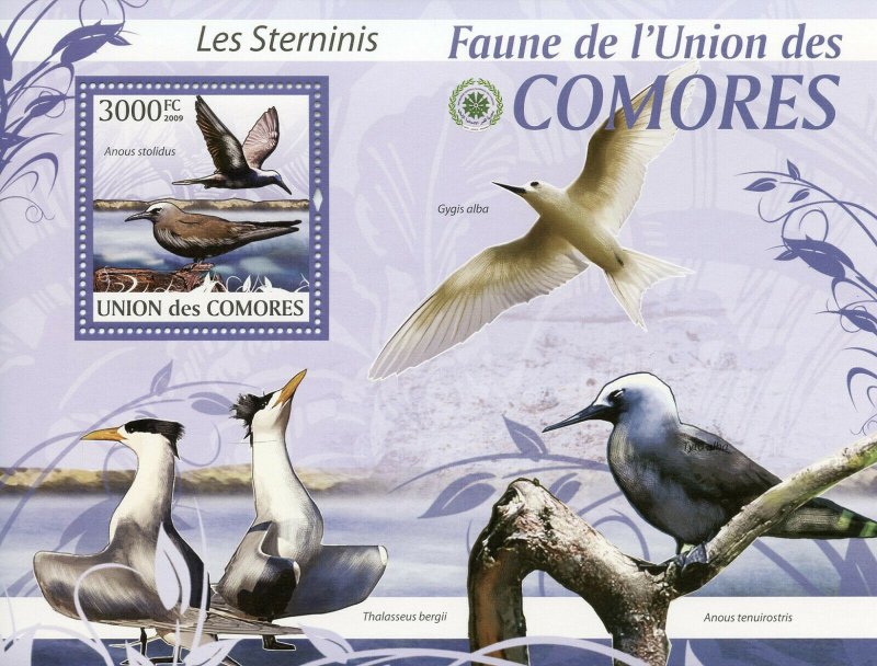 Comoros Birds on Stamps 2009 MNH Terns Caspian Tern Sterninis Fauna 1v S/S