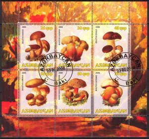 {g1662} Azerbaijan 2008 Mushrooms sheet Used / CTO Cinderella