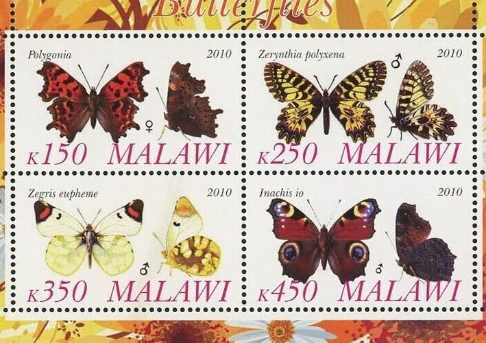 Butterfly Stamp Polygonia Zegris Eupheme Souvenir Sheet of 4 Stamps MNH