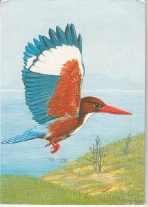 Hong Kong - Kingfisher Maximum Card 1988