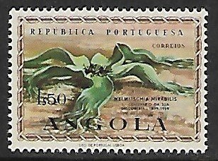 Angola # 413 - Welwitschia - MNH.....{Dgr2}