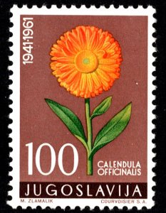 Yugoslavia Scott 605 Mint never hinged.